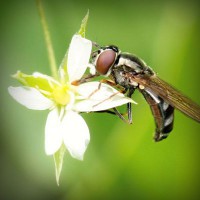 /album/probloutulu/photolia-a02-jpg/