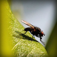 /album/probloutulu/photolia-a04-jpg/