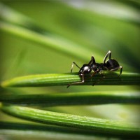 /album/probloutulu/photolia-a05-jpg/