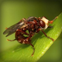 /album/probloutulu/photolia-a06-jpg/