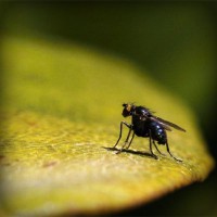 /album/probloutulu/photolia-a07-jpg/