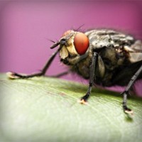 /album/probloutulu/photolia-a08-jpg/